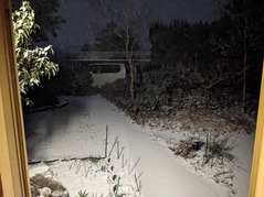 PXL_20230124_122336032