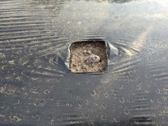 PXL_20221209_065932267