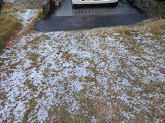 PXL_20211217_224155607.MP