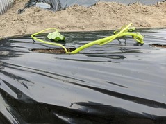 PXL_20230512_074502377.NIGHT