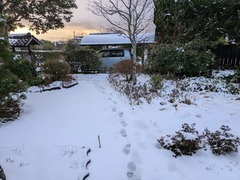 PXL_20250208_222951569