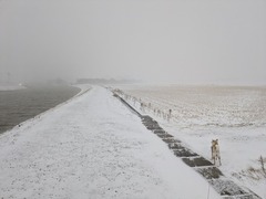 PXL_20250207_224306644