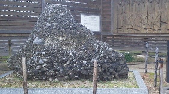 イメージ 6
