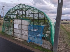 PXL_20241122_075206645