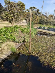 PXL_20230401_060953166