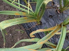 PXL_20230420_215739604