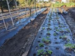 PXL_20241107_233230051