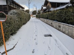 PXL_20230124_231254474