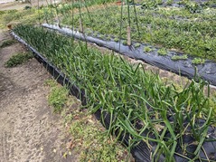 PXL_20230220_021922644