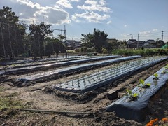 PXL_20241107_053441294