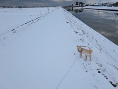 PXL_20260208_233652683