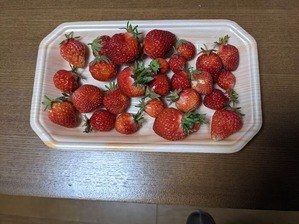 PXL_20210422_082122917