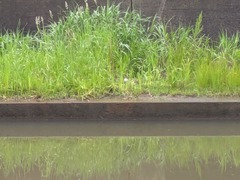 PXL_20260521_223301797