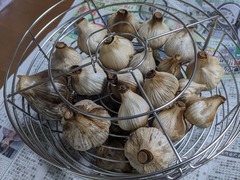 PXL_20240611_063216923.MP