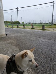 PXL_20250422_213716347