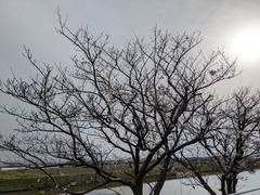 PXL_20260406_071638322