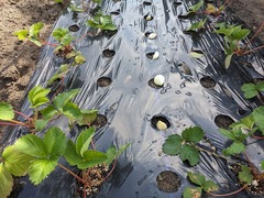 PXL_20231001_014728275