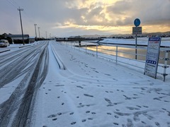 PXL_20250208_223622071