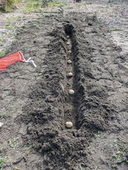 PXL_20250308_004834568