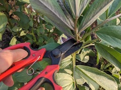 PXL_20230410_215258123