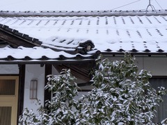 PXL_20260121_221804759