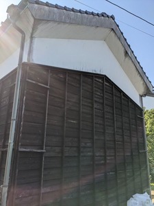 PXL_20210607_065345237