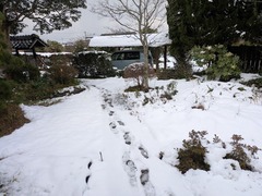 PXL_20260121_070354525