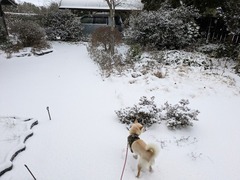 PXL_20250207_223054288