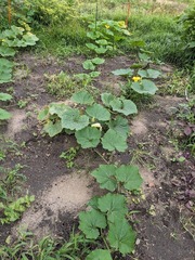 PXL_20230711_215707755