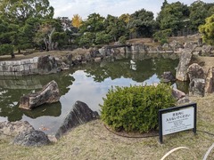 PXL_20231123_012422234