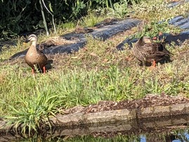 PXL_20210505_222319527