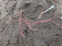 PXL_20250919_224115274