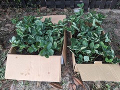 PXL_20230810_212921777