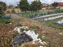 PXL_20221224_010740106