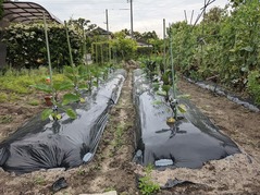 PXL_20220515_224442322