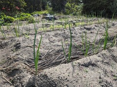 PXL_20231005_003223494