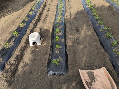 PXL_20251101_232755254