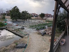 PXL_20250204_224526179