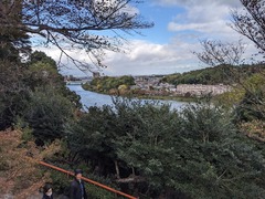 PXL_20241118_015108853