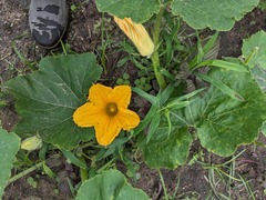 PXL_20230711_215716780