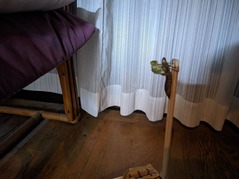 PXL_20230516_143859379.NIGHT