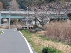 PXL_20260330_043640098