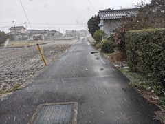 PXL_20231222_072443741