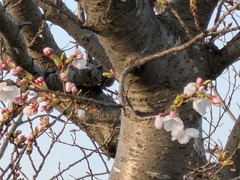 PXL_20260329_222428381