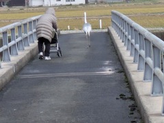 PXL_20251217_074736312.MP