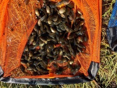 PXL_20220526_223143423