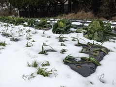 PXL_20230126_070124920