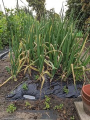 PXL_20230419_222836898