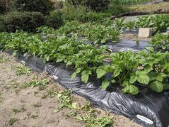 PXL_20230414_010347887