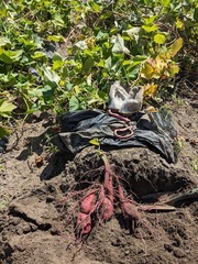 PXL_20240905_012721248